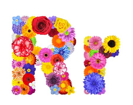 Full Floral Alphabet Isolated White Background Letters A Stock Full Floral Alphabet Isolated White Background Letters A Stock