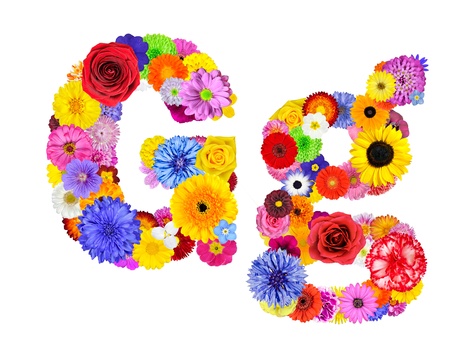 Full Floral Alphabet Isolated White Background Letters A Stock Full Floral Alphabet Isolated White Background Letters A Stock