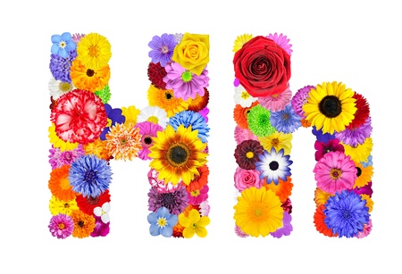 Full Floral Alphabet Isolated White Background Letters A Stock Full Floral Alphabet Isolated White Background Letters A Stock