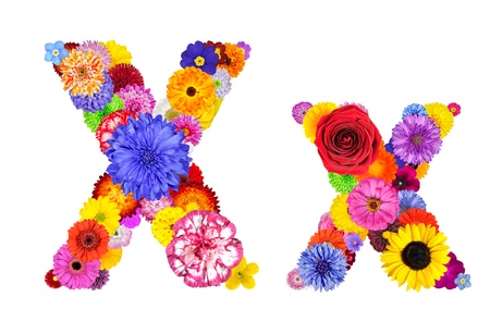 Full Floral Alphabet Isolated White Background Letters A Stock Full Floral Alphabet Isolated White Background Letters A Stock