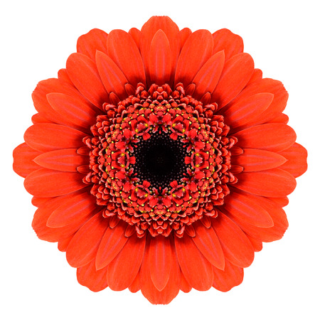 かわいい ガーベラ万華鏡 ガラス ステンドグラス Www Comisariatolosandes Com かわいい ガーベラ万華鏡 ガラス ステンドグラス Www Comisariatolosandes Com