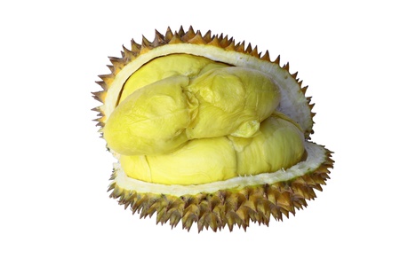 Durian: Durian,favorite fruit of everyone Kho ảnh