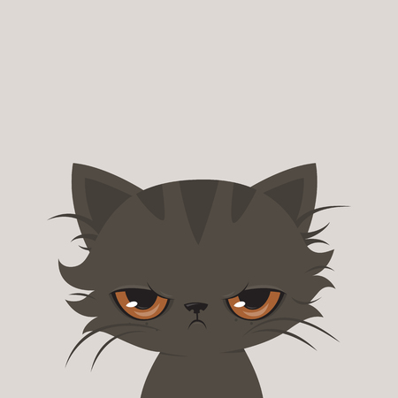 Angry cat cartoon. Cute grumpy cat, illustration. Illustration