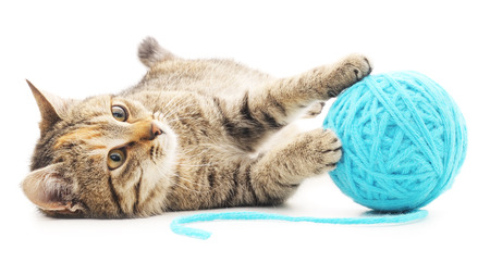 Small funny kitten and clew of thread. Isolated on white background