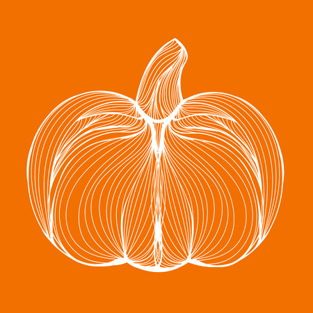 オレンジ色の背景に白い線ハロウィーン休日カボチャやシンデレラの野菜から描かれた 1 つのベクトル イラストのイラスト素材 ベクタ Image オレンジ色の背景に白い線ハロウィーン休日カボチャやシンデレラの野菜から描かれた 1 つのベクトル イラストのイラスト素材 ベクタ Image