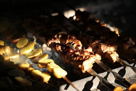 写真のクローズ アップ野菜でおいしいホット ヒラメ焼き魚スモーキーな背景をぼかした写真 画像の水平方向の火鉢の炭火グリル バーベキューで調理 の写真素材 画像素材 Image 49916133