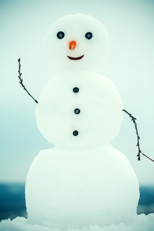 ニンジンとボタンの顔の雪だるま クリスマスやクリスマスの装飾 白い雪の屋外から新年雪だるま 幸せな休日とお祝い 冬の活動と党 の写真素材 画像素材 Image ニンジンとボタンの顔の雪だるま クリスマスやクリスマスの装飾 白い雪の屋外から新年雪だるま 幸せな休日とお祝い 冬の活動と党 の写真素材 画像素材 Image