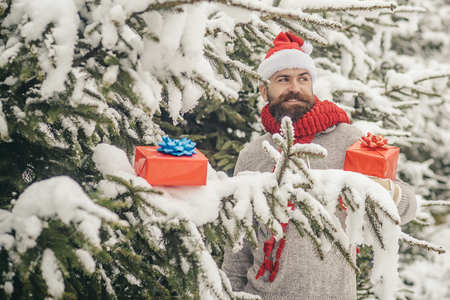 Christmas Happy Man With Beard Hold Present Box Hipster Santa At Tree In Snowy Christmas Happy Man With Beard Hold Present Box Hipster Santa At Tree In Snowy