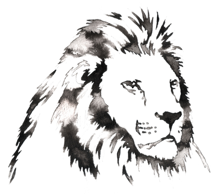 ライオンの水彩絵の具 の写真素材 画像素材 Image ライオンの水彩絵の具 の写真素材 画像素材 Image