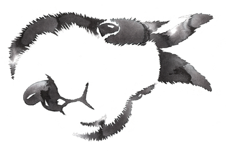 水とインクで黒と白のモノクロ絵はウサギのイラストを描いてください の写真素材 画像素材 Image
