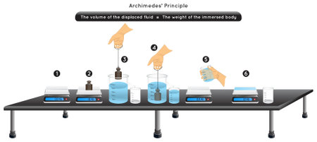 Archimedes principe experiment infographic diagram gewicht digitale weegschaal ondergedompeld lichaamsvloeistof container volume verplaatst water gelijk lichaamsgewicht laboratorium observatie natuurkunde wetenschapsonderwijs vector Stockfoto