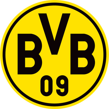 BORUSSIA DORTMUND DEUTSCHER MEISTER LIMITED EDITION RARE