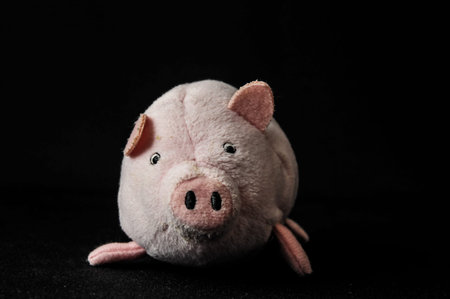 Mignon Caractere Animal De Cochon Rose Sur Un Fond Noir Banque D Images Et Photos Libres De Droits Image