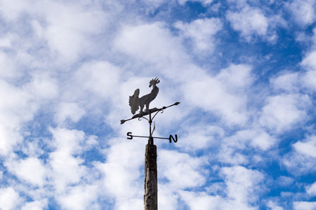 Weather vane, california