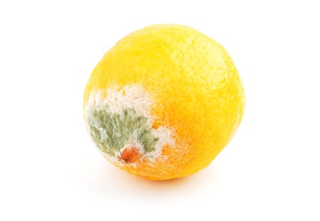 Molded lemon fruit, isolated on white background