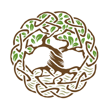 tree of life stock photos royalty free tree of life images