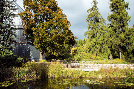 Beautiful Autumn Park With A Pond With Lilies In The Botanical