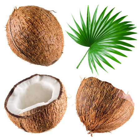 coconut: Dừa với lá cọ trên nền trắng. Bộ sưu tập Kho ảnh