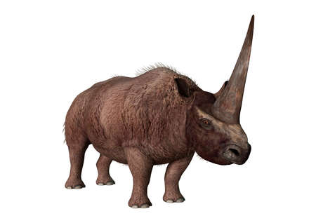 3d Rendering Eines Riesigen Ausgestorbenen Nashorn Elasmotherium Sibiricum Isoliert Auf Weissem Hintergrund Lizenzfreie Fotos Bilder Und Stock Fotografie Image 77990268