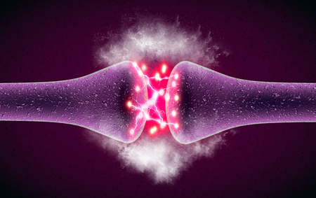 Synapse is a structure that permits a neuron (or nerve cell) to pass an electrical or chemical signal to another neuron or to the target efferent cell. nervous system Foto de archivo - 101586008