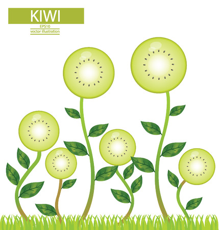 Kiwi, tree vector illustration