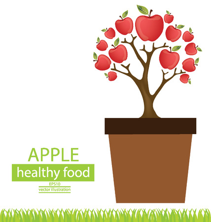 Jardiniere, apple tree vector illustration
