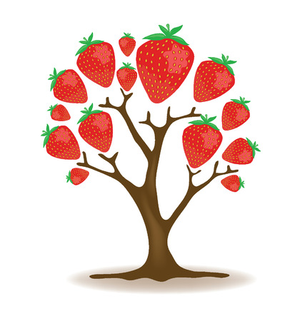 Strawberry tree illustration Stock Photo