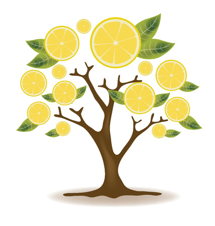 Lemons tree illustration Stock Photo