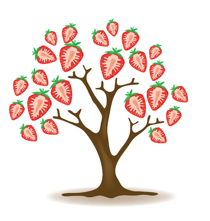 Strawberry tree illustration