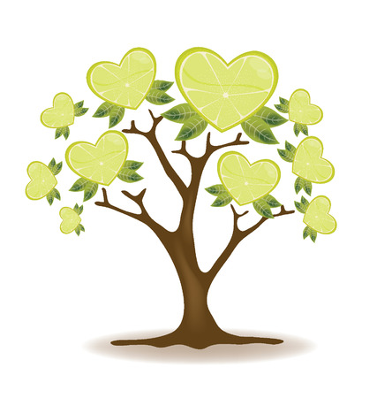 Lemons tree vector Stock Photo