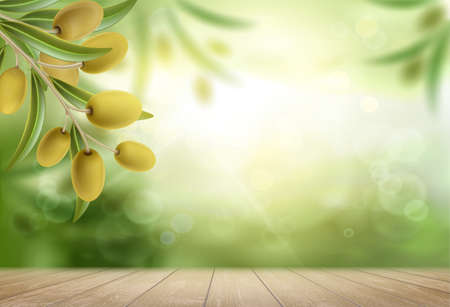 Green olive tree with ripe fruits. above the wooden table. vector background. Ilustrações vetoriais
