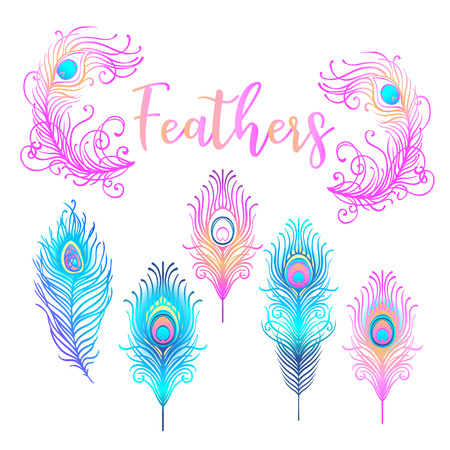 白地にカラフルな孔雀の羽のイラストのイラスト素材 ベクタ Image 白地にカラフルな孔雀の羽のイラストのイラスト素材 ベクタ Image