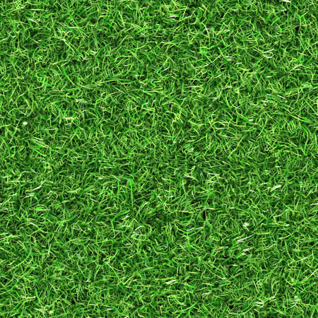 seamless grass texture - 31443220