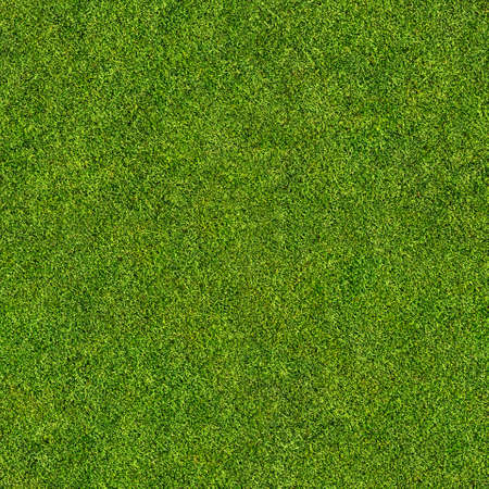 grass texture seamless high quality seamless grass texture stock photo picture and royalty free image image 31444145 grass texture seamless high quality seamless grass texture stock photo picture and royalty free image image 31444145
