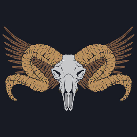 ヤギ動物頭蓋骨ベクトル単離ベクトルイラスト のイラスト素材 ベクタ Image 9424 ヤギ動物頭蓋骨ベクトル単離ベクトルイラスト のイラスト素材 ベクタ Image 9424