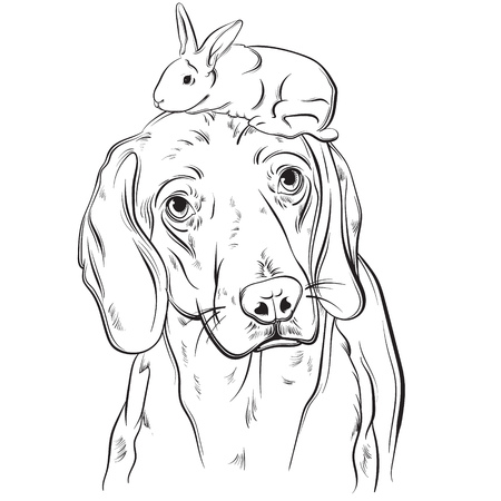 ハスキー犬の頭に直面する現実的なイラスト のイラスト素材 ベクタ Image