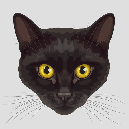 Drawn stylized muzzle of black short-haired cat with rounded yellow eyes