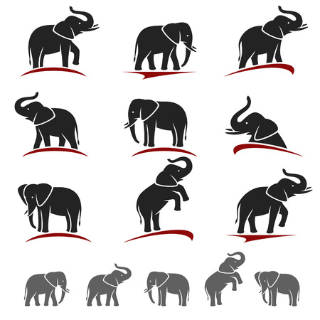 elephant: Elephant thiết. Vector