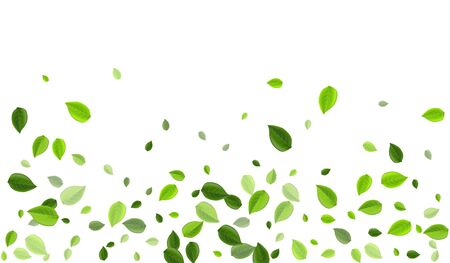 Grassy greens falling vector background. wind foliage concept. lime leaf motion illustration. leaves abstract design. Stock Photo