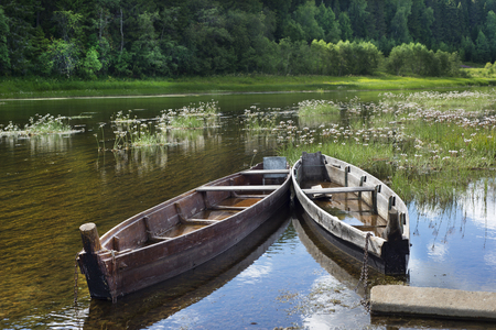 Sun flower: Boats on river at beautiful summer day, beautiful nature landscape for background