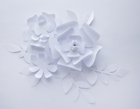 cut flowers stock photos and images 123rf flower white paper
