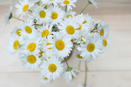 カモミールの花 茶色の紙の背景の上のおしゃれ Fieldl 花 の写真素材 画像素材 Image カモミールの花 茶色の紙の背景の上のおしゃれ Fieldl 花 の写真素材 画像素材 Image