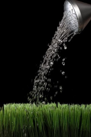 Vertical image of water sprinking from a silver garden watering jug onto green grass with a black background