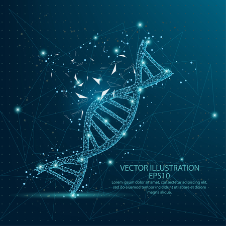 Dna form mesh line and composition digitally drawn starry sky or space in the form of broken a part triangle shape and scattered dots low poly wire frame on blue background Stock Photo