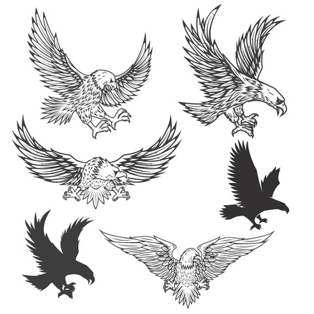 鷲は 白い背景で隔離のイラスト ベクトルの図 のイラスト素材 ベクタ Image 7252 鷲は 白い背景で隔離のイラスト ベクトルの図 のイラスト素材 ベクタ Image 7252