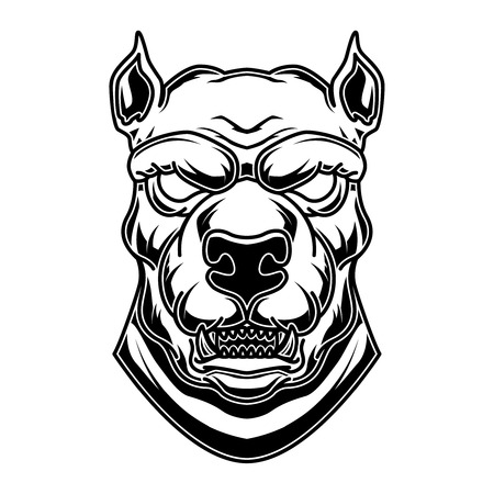 pitbull face stock illustrations