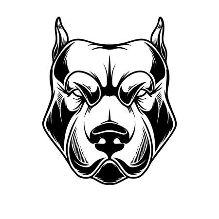 pitbull face stock illustrations