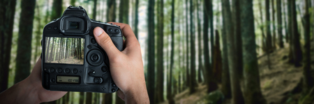 Cropped image of hands holding camera against view of tropical forest Stock Photo