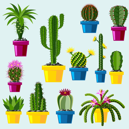 Cactus Flat Style Nature Desert Flower Green Cartoon Drawing ... Cactus Flat Style Nature Desert Flower Green Cartoon Drawing ...