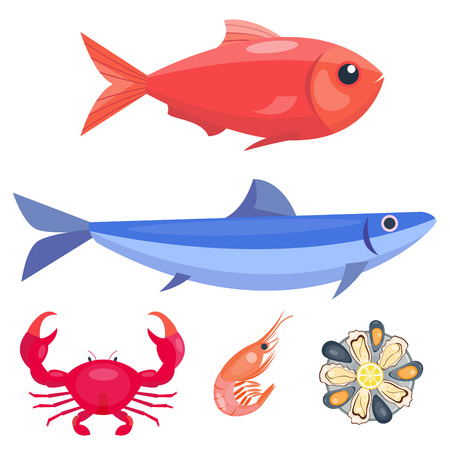 白い背景の上の新鮮な魚介類フラット ベクトル イラスト のイラスト